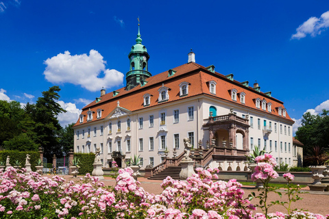 Castelo de Lichtenwalde: Tour guiado