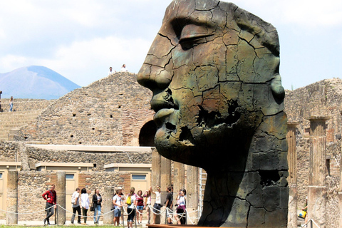 Guided Tour Pompeii & Vesuvius - Light Lunch & tickets Guided Tour of Pompeii & Vesuvius with Lunch and entrance ti