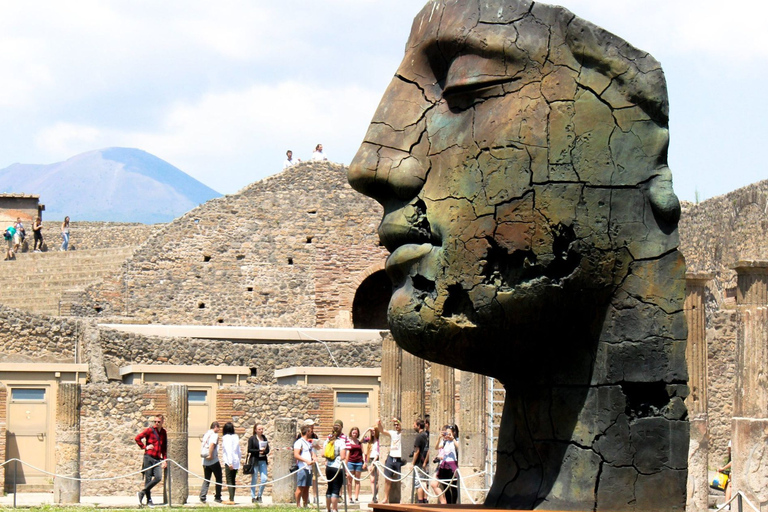 Guided Tour Pompeii & Vesuvius - Light Lunch & tickets Guided Tour of Pompeii & Vesuvius with Lunch and entrance ti