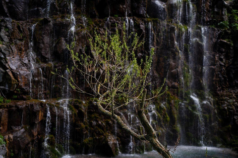 From Tbilisi: Dashbashi Canyon + Diamond Bridge Ticket