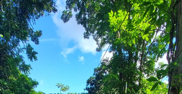 From San Juan: Zip Line, River and Luquillo Beach tour