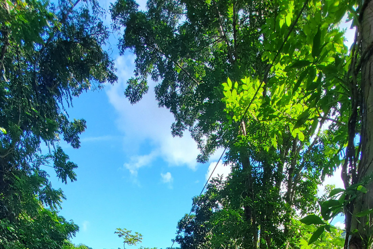 From San Juan: Zip Line, River and Luquillo Beach tour