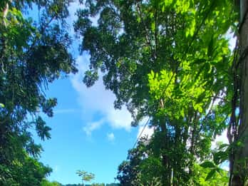 Von San Juan: Zip Line, Fluss und Luquillo Beach Tour