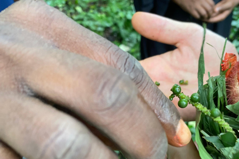 Sansibar: Geführte Touren durch die Gewürzplantagen