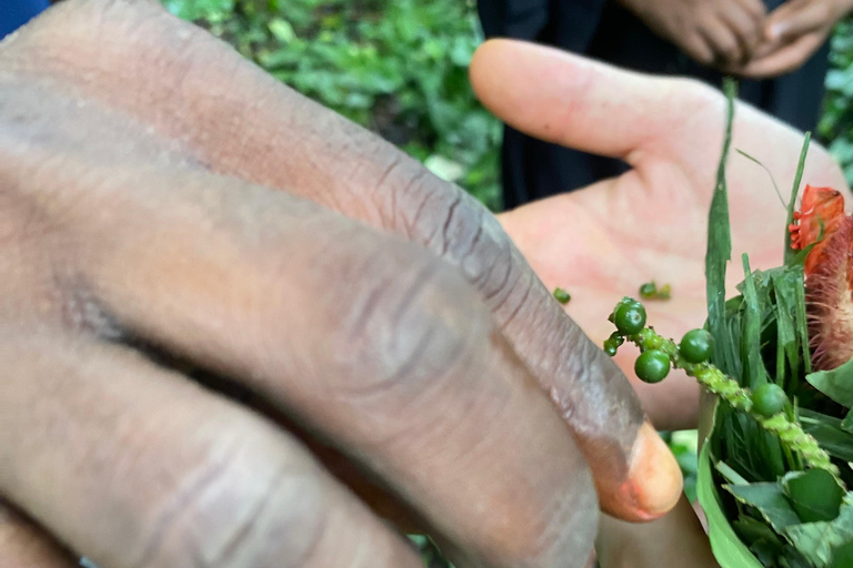 Sansibar: Geführte Touren durch die Gewürzplantagen