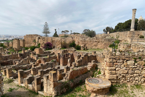 Hammamet to Tunisia’s Heritage: Carthage & Sidi Bou Said