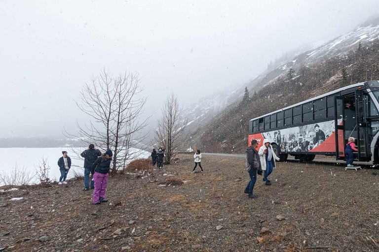 Da Skagway: Combinazione Yukon Sled Dog Mushing e White PassDa Skagway: Yukon Sled Dogs e White Pass Summit Tour