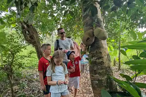Zanzibar: Jozani Forest & Spice Farm Private Tour with Lunch