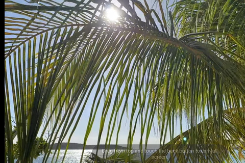 Vieques Adventure by Ferry from Ceiba. Vieques Adventure Full Day by Ferry.