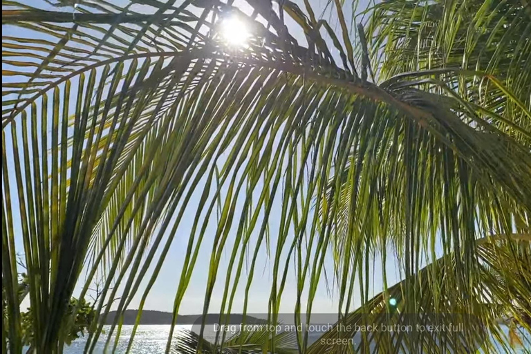 Vieques Adventure by Ferry from Ceiba. Vieques Adventure Full Day by Ferry.