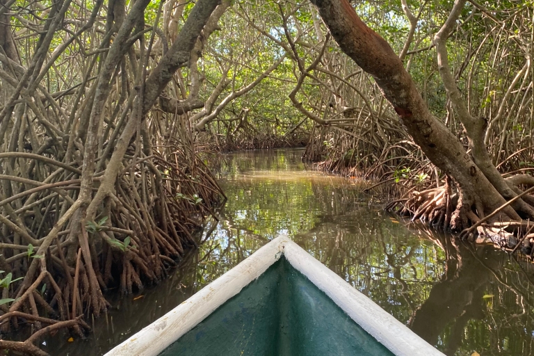 Ökotour und Fischen in den natürlichen Mangroven von Cartagena