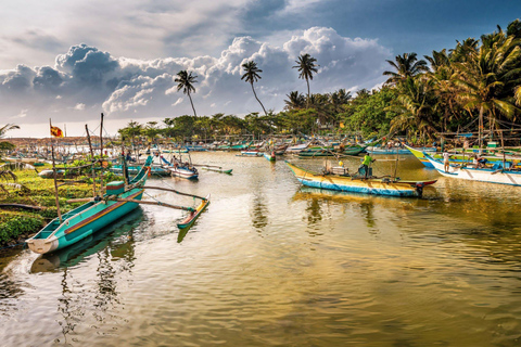 From Colombo: Mangroves, Turtles & Golden Shores