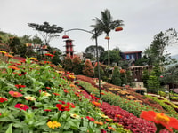 CEBU, Cultural Gems Visite guidée avec 10 000 roses - Housity