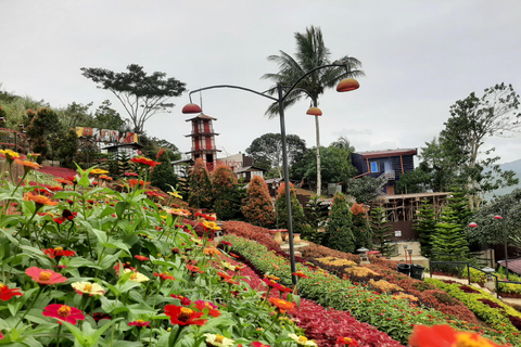 Cebu: Cultural Gems Guided Tour with 10,000 Roses