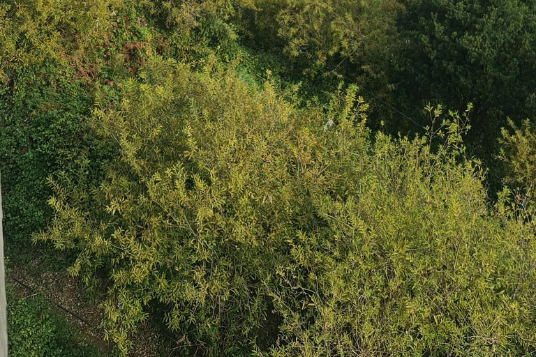 جولة يوم كامل في جزيرة ماديراجولة جزيرة ماديرا ليوم كامل