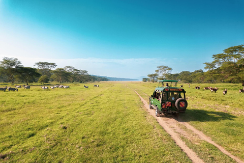 Lake Elemtaita: Elementaita Flamingoes & Birdwatching tour