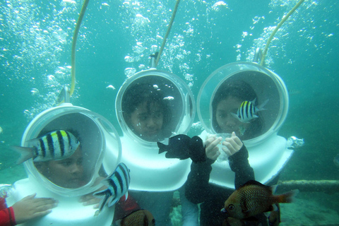 Bali: Sea Walker Under Water Experience Bali: Fish Sighseeing and Feeding Under Water Experience