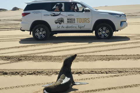Small Group Sandwich Harbour 4x4 tour where dunes meet ocean