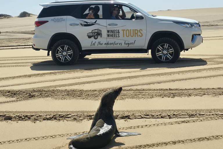 Small Group Sandwich Harbour 4x4 tour where dunes meet ocean