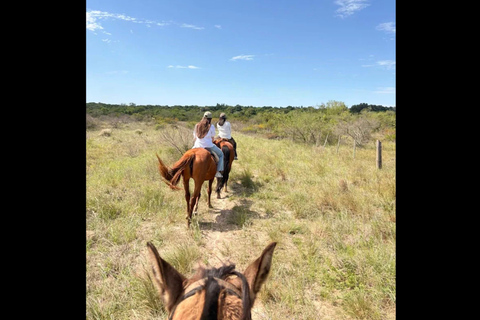 Colonia del Sacramento: Countryside Horseback Riding Tour
