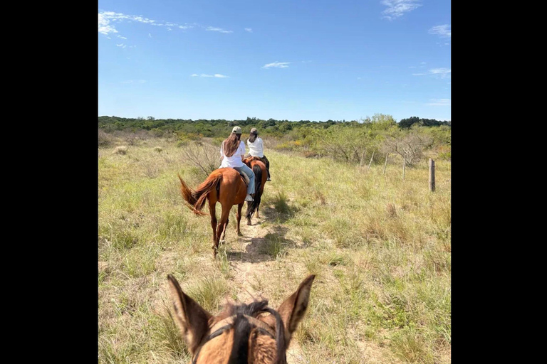Colonia del Sacramento: Countryside Horseback Riding Tour