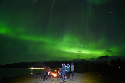 Tromsø: Northern Lights Tour – Unlimited Chase & Free Photos 6-8 Hours, Aurora chase, Comfortable bus, Photos included