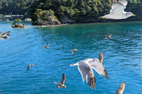 Osaka/Kyoto: Amanohashidate & Ine Funaya & Ine Bay Day Tour Excludes Cable Car & Cruise: 8:00AM Osaka