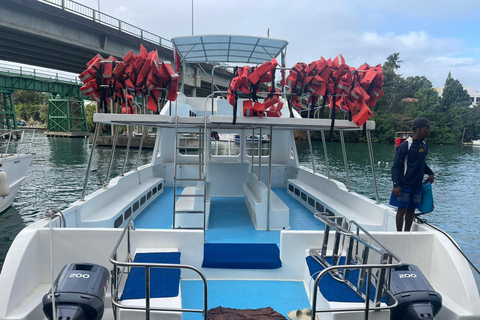 Catalina Island, explore this beautiful island from Juan Dolio and Boca Chica