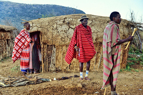 Da Nairobi: Escursione di un giorno al villaggio Masai