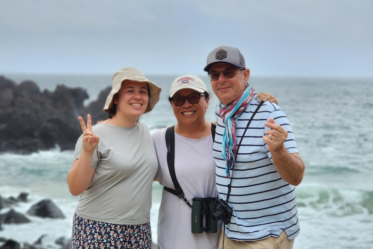 Descubre Jeju en 3 días: Vacaciones de bienestar