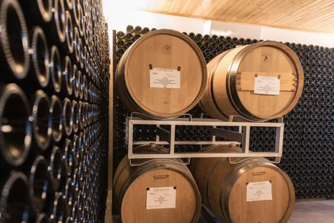 Organic Winery Visit & Wine Tasting with Food in Pavia