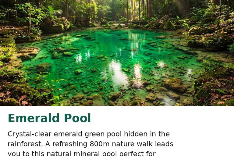Krabi: Jungle, Hot Springs, and Night Market Day Trip