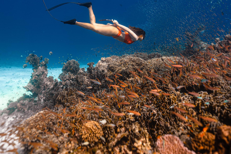 Phuket/Khaolak : excursion d&#039;une journée aux îles Similan avec plongée en apnée