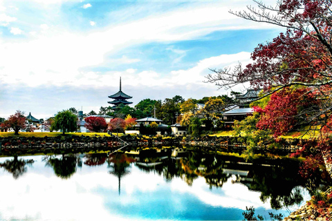 From Osaka/Kyoto: Nara Private Day Tour with Hotel Pickup Comfortable Toyota Hiace for Big Group Upto 10 persons