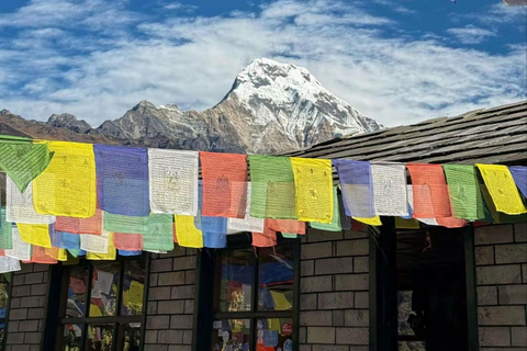 Pokhara: Hidden Paradise 3-Day Trek to Mohare Hill