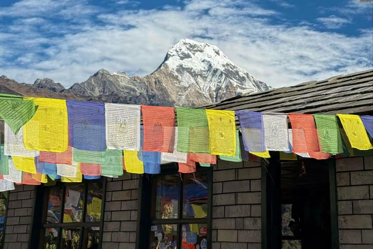 Pokhara: Hidden Paradise 3-Day Trek to Mohare Hill