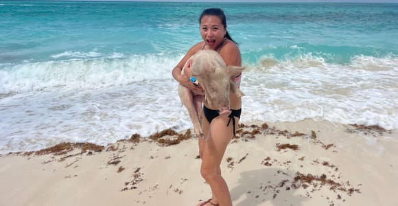 Snorkeling and Beach Tour with Sea Turtles
