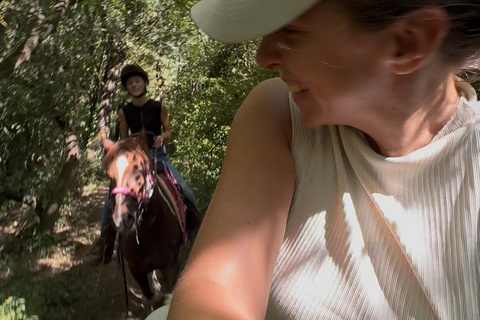 Provence: 2-hour Western horseback riding tour, refreshing break in the river Provence: 2-Hour Western Horseback Riding Tour, Refreshing Break in the River