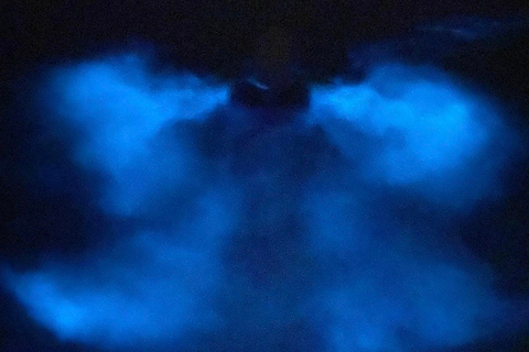 Orlando: Bioluminescence Kayak Tour