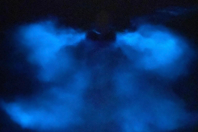 Orlando: Bioluminescence Kayak Tour