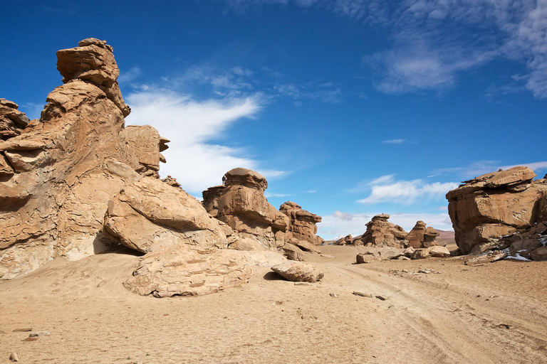 From La Paz: Uyuni and Red Lagoon with bus trip |5-day Tour|