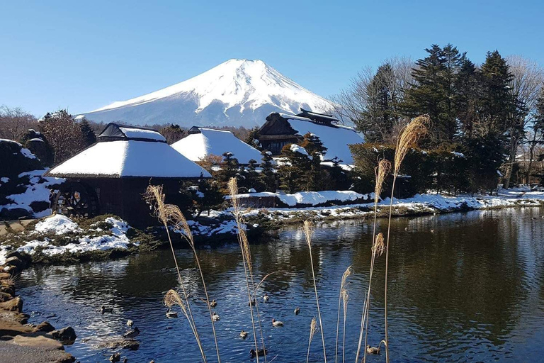 Depuis Tokyo : Excursion privée d'une journée au Mont Fuji et au lac Kawaguchiko