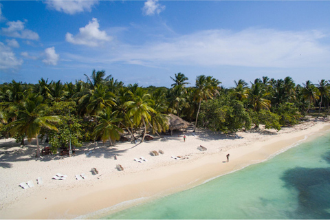 Desde Punta Cana: Excursión de un día en Catamarán Privado a la Isla Saona