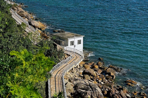 Shenzhen Yantian Seaview Yacht Huaqiangbei Day Tour Day Tour(Chartered Car And English Guide)