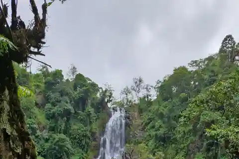 Caminhada pela aldeia do Kilimanjaro, cachoeiras, passeio pelo café e almoço