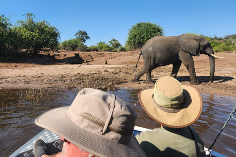 Unique Chobe Day Trip with 2 River Safaris