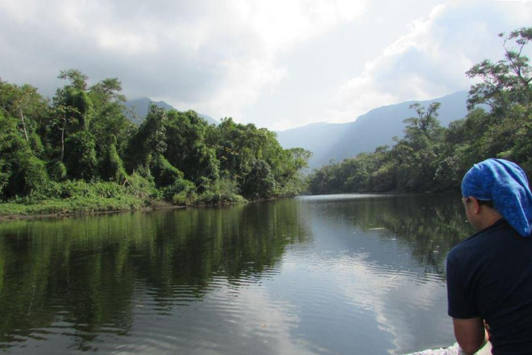 Santos: Waterfall Hike and Boat Ride at the Rain Forest from Sao Paulo: Waterfall Hike and Boat Ride at the R Forest