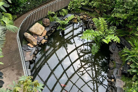 Medellín, Nature and Space: Visit the Botanical Garden and the Planetarium