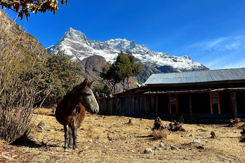 Nepal: Kanchenjunga South Base Camp Trek - 16 dni