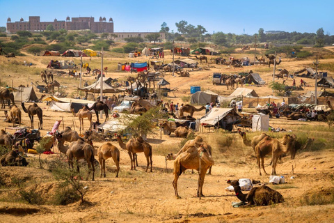 From Delhi: Ajmer and Pushkar 2-Day Tour with Car and Guide